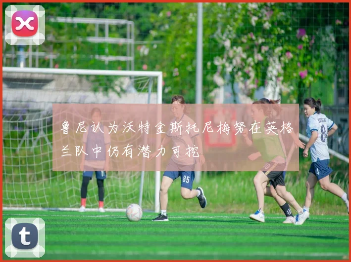 鲁尼认为沃特金斯托尼梅努在英格兰队中仍有潜力可挖
