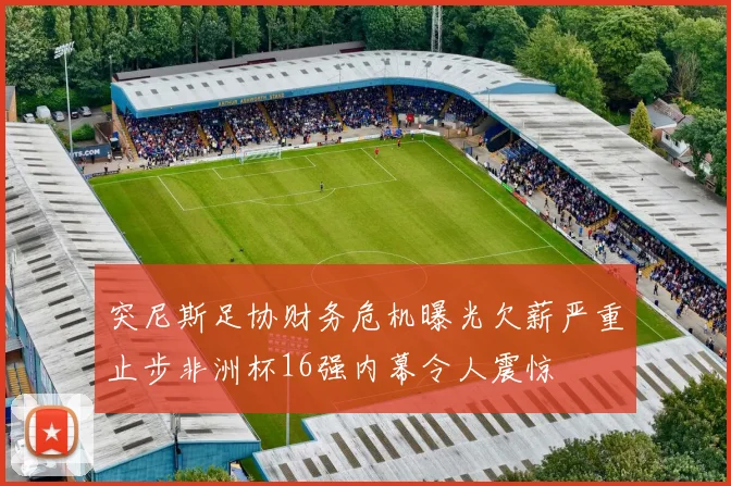 突尼斯足协财务危机曝光欠薪严重止步非洲杯16强内幕令人震惊