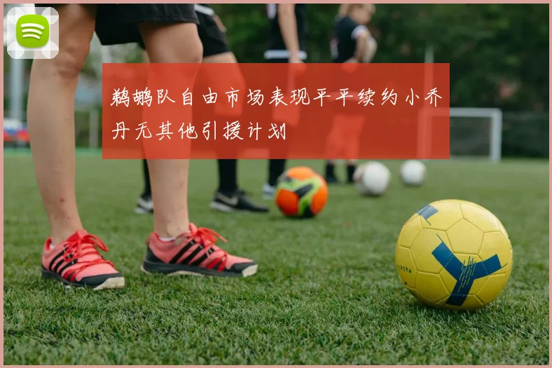 鹈鹕队自由市场表现平平续约小乔丹无其他引援计划